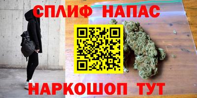 сатива Кингисепп
