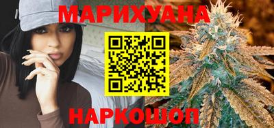 сатива Кингисепп