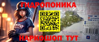 сатива Кингисепп