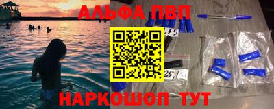 сатива Кингисепп