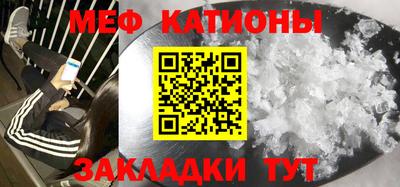 сатива Кингисепп
