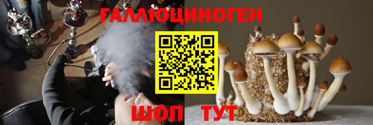 Котовск  Псилоцибиновые грибы GOLDEN TEACHER  Вход с VPN  Псилоцибиновые грибы мицелий 